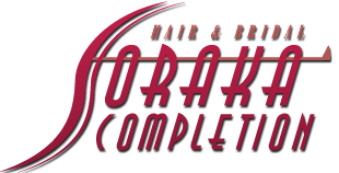 ウェブサイトの説明文